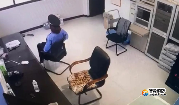 1654826242119820.png image.png