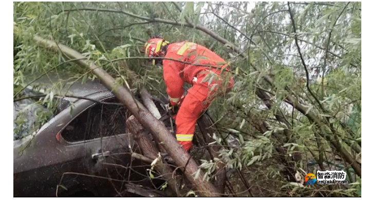 1659003151111166.png image.png