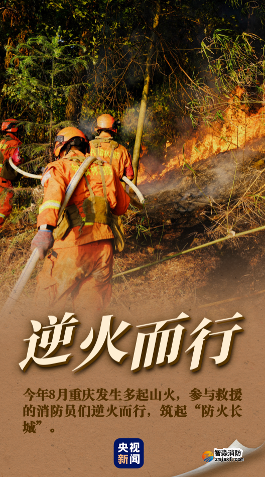 1667964599714030.png image.png