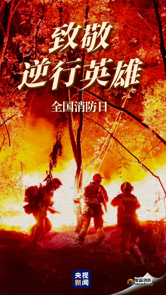 1667964614102926.png image.png