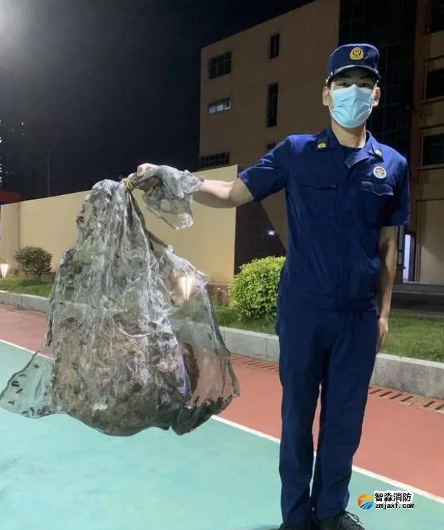 1673500431826924.png image.png