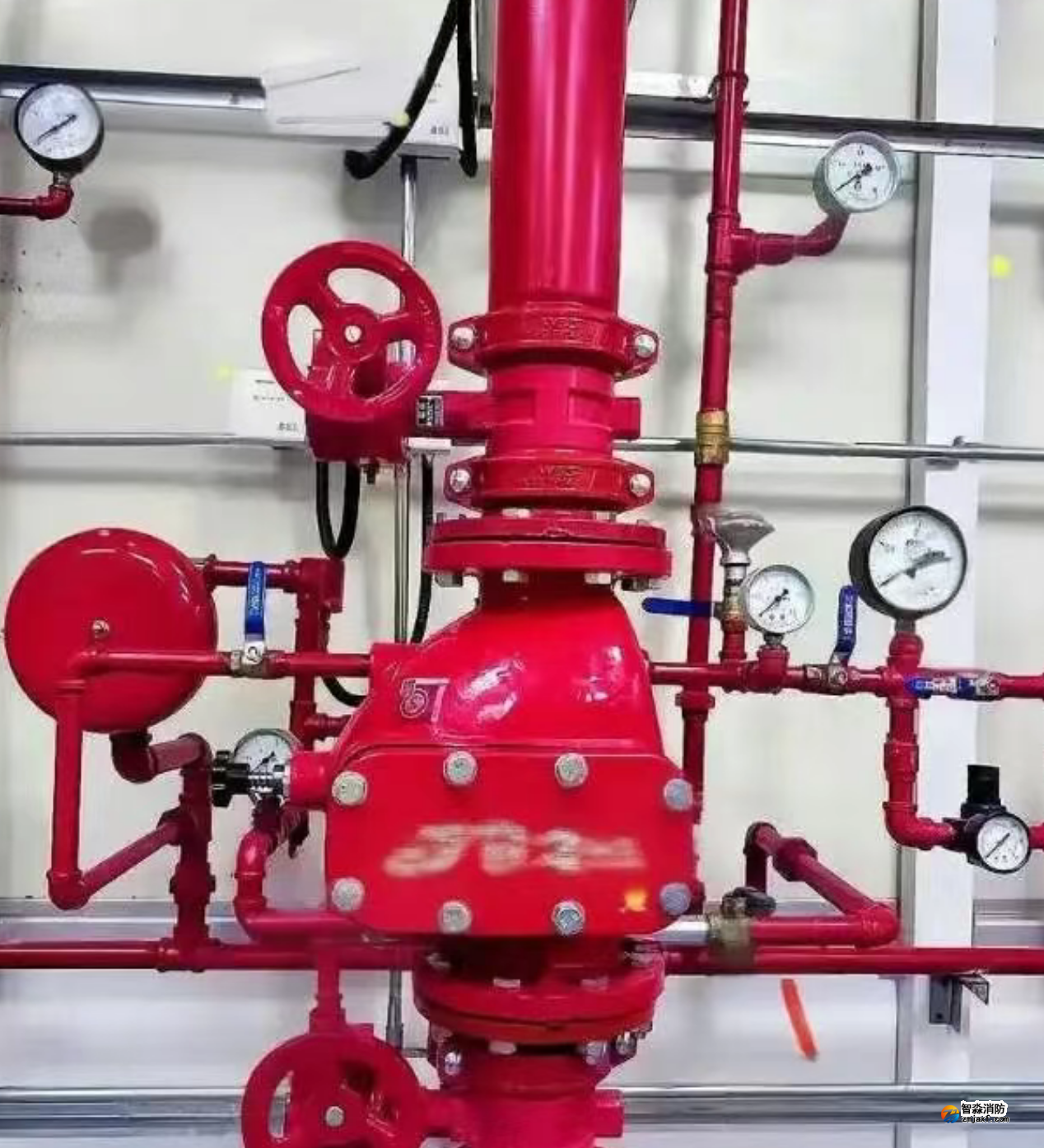 1772518606538498.png 1772518606538498.png