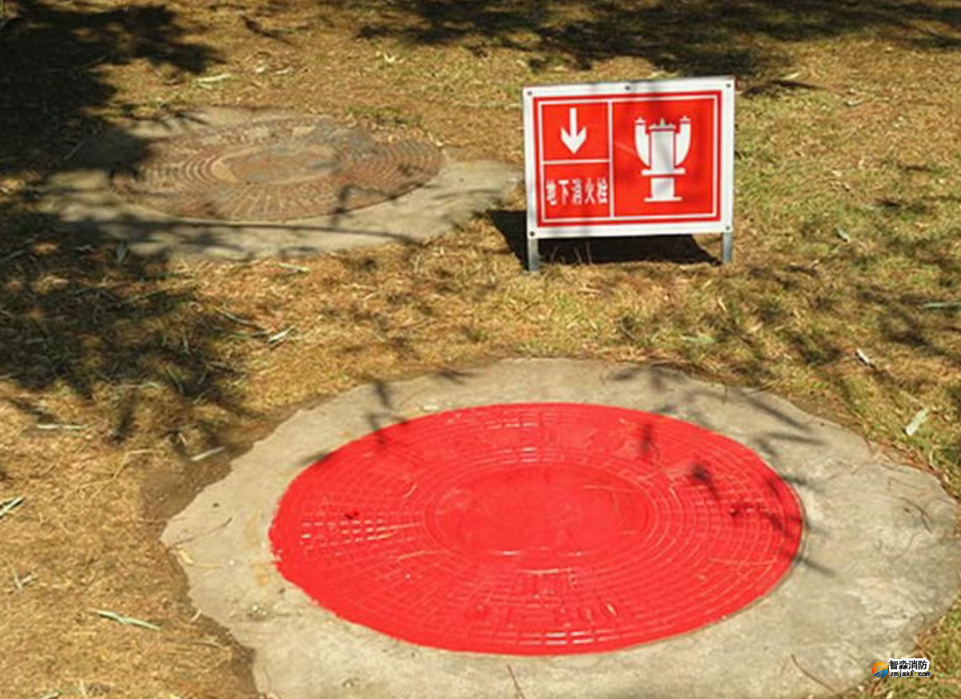 1773298003206937.png 1773298003206937.png